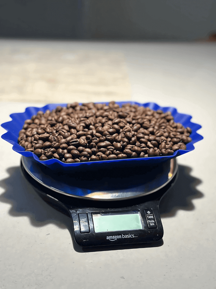 Brazil Pearl coffee beans in a blue bowl on a digital scale, showcasing their rich texture and quality.