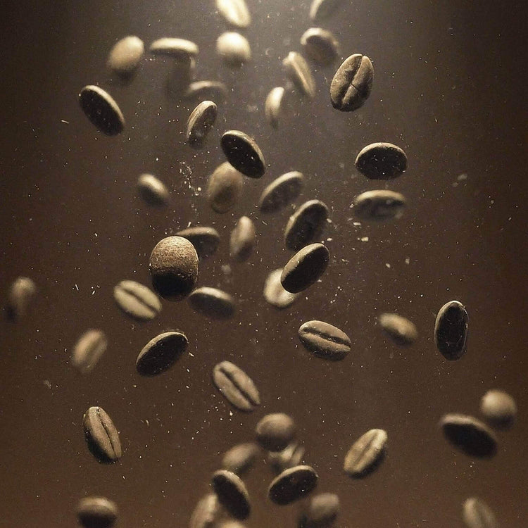 Brazil Pearl coffee beans floating, showcasing their bold and nutty flavors with a smooth finish.