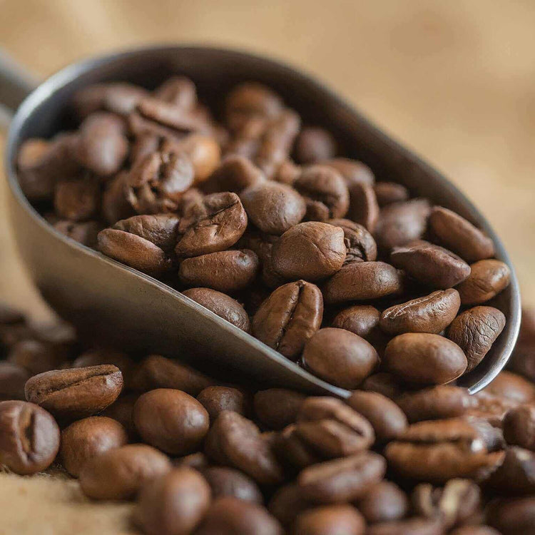 Close-up of roasted Brazilian coffee beans in a metal scoop, showcasing their rich color and texture.