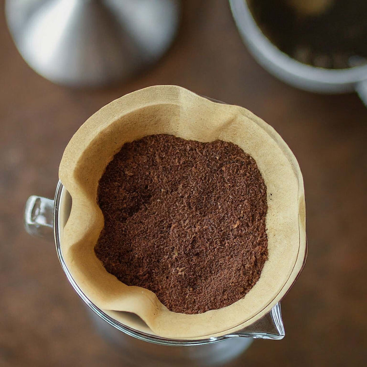 Close-up of freshly ground coffee in a paper filter, ready for brewing a rich cup of Brazilian hazelnut coffee.