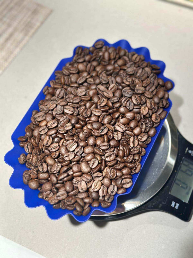 Zam Power coffee beans in a blue bowl on a digital scale, showcasing the rich, dark roast quality.