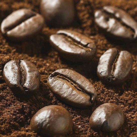 Premium 6 Bean Blend dark roast coffee beans perfect for espresso, showcasing meticulous selection from around the world.