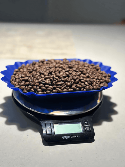 Brazil Pearl coffee beans in a blue tray on a digital scale, highlighting bold and nutty flavors for a strong brew.