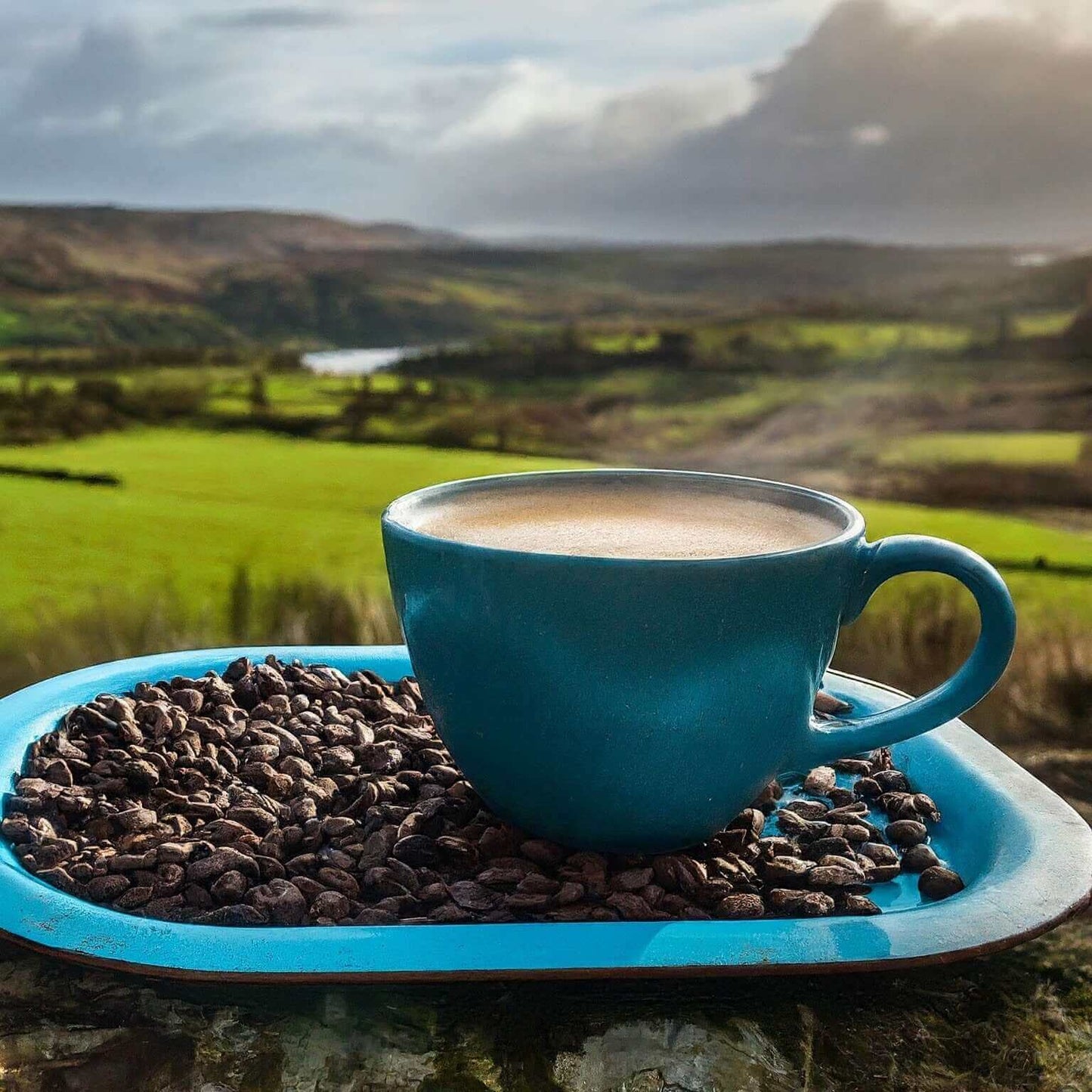 Blue coffee mug filled with Gourmet Fancy Tanzania brew on a tray of coffee beans, overlooking a lush green landscape.