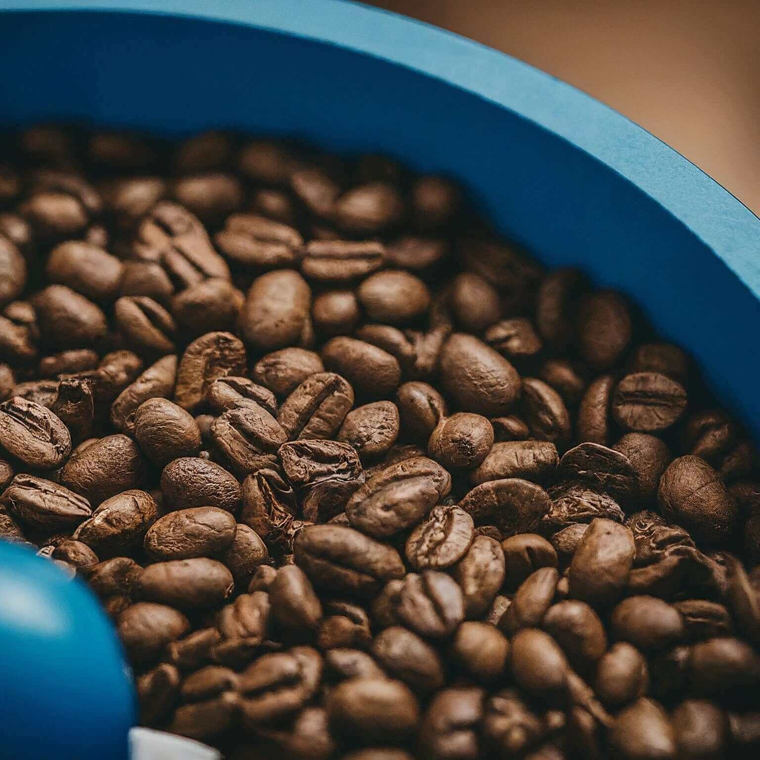 Gourmet Fancy Tanzania coffee beans in a blue bowl with balanced body, hints of black currant and chocolate, medium-dark roast.