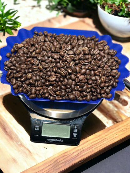 Gourmet Fancy Tanzania coffee beans in a blue scalloped bowl on a digital scale, showcasing medium-dark roast with rich aroma.