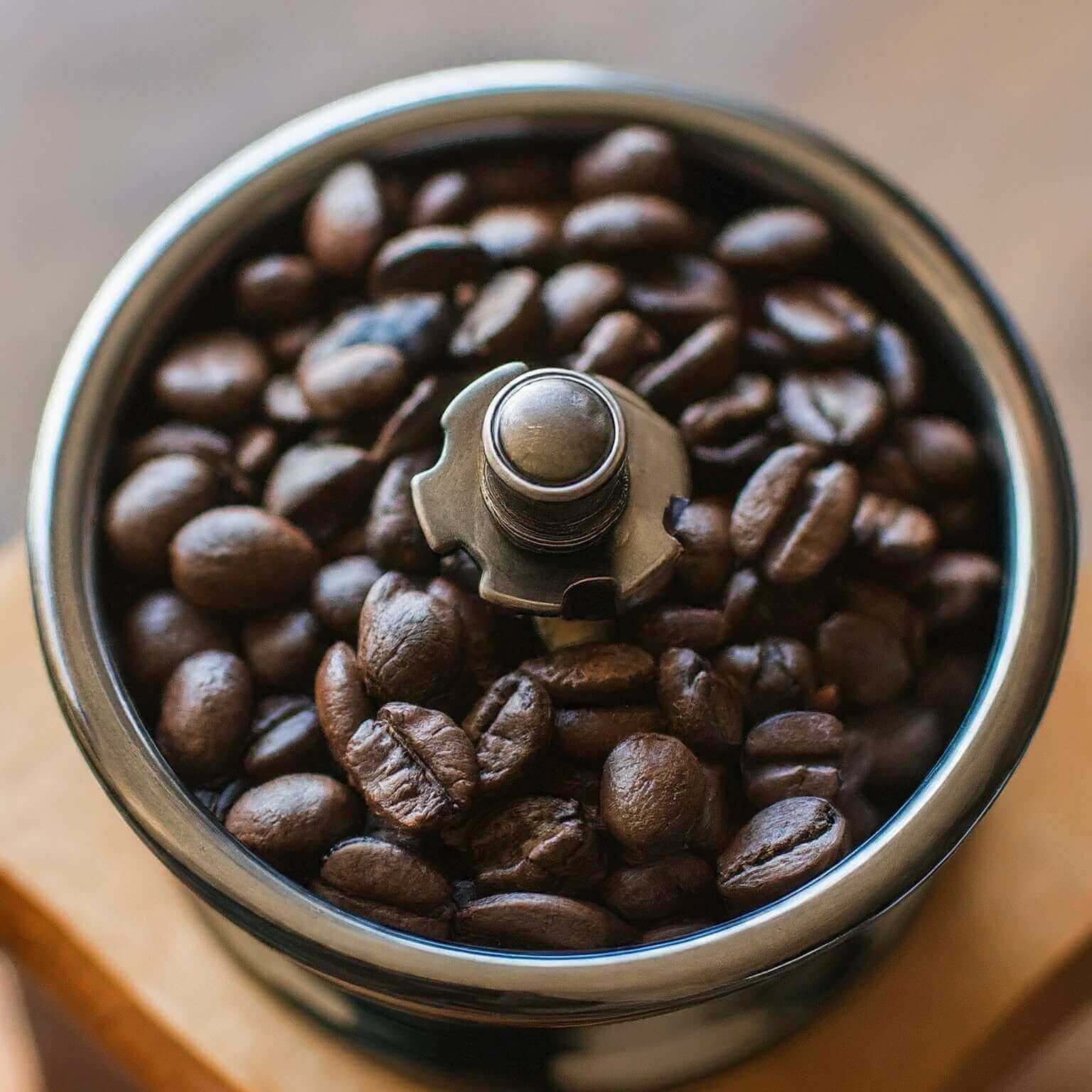 Organic Mexican Chiapas MOCABE SHG EP coffee beans in a grinder, showcasing dark roast quality and rich flavor.