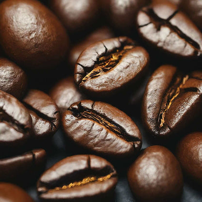 Close-up of organic Chocolate Fudge flavored coffee beans from Antigua Guatemala, highlighting rich cacao and nutty notes.