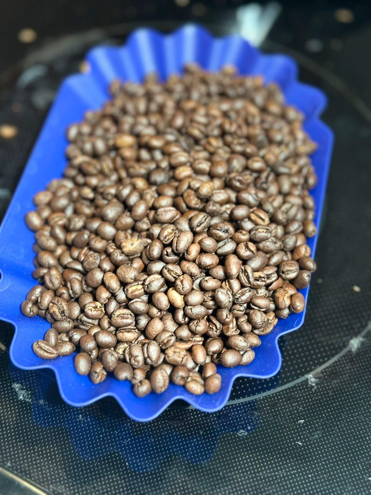 Organic Fairtrade chocolate fudge coffee beans on a blue tray